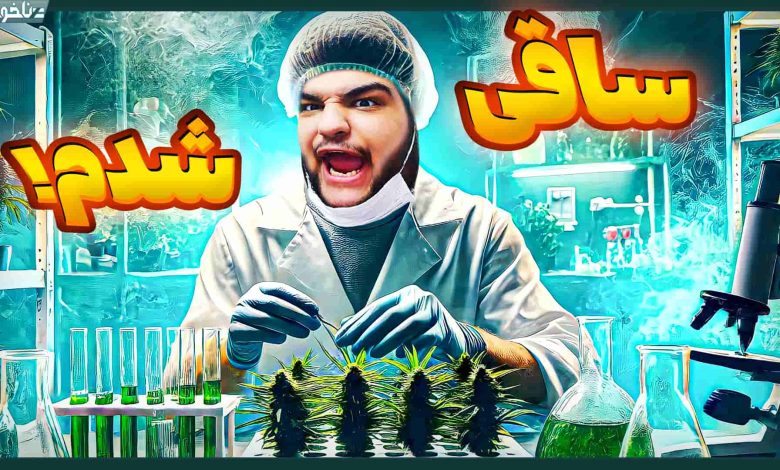 تصویر از آنتی-ناخونک: بازی Drug Dealer Simulator 2 | قسمت اول